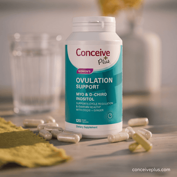 PCOS and Fertility: A Complete Guide to Understanding Polycystic Ovary Syndrome and Your Path to Conception - Conceive Plus® Asia